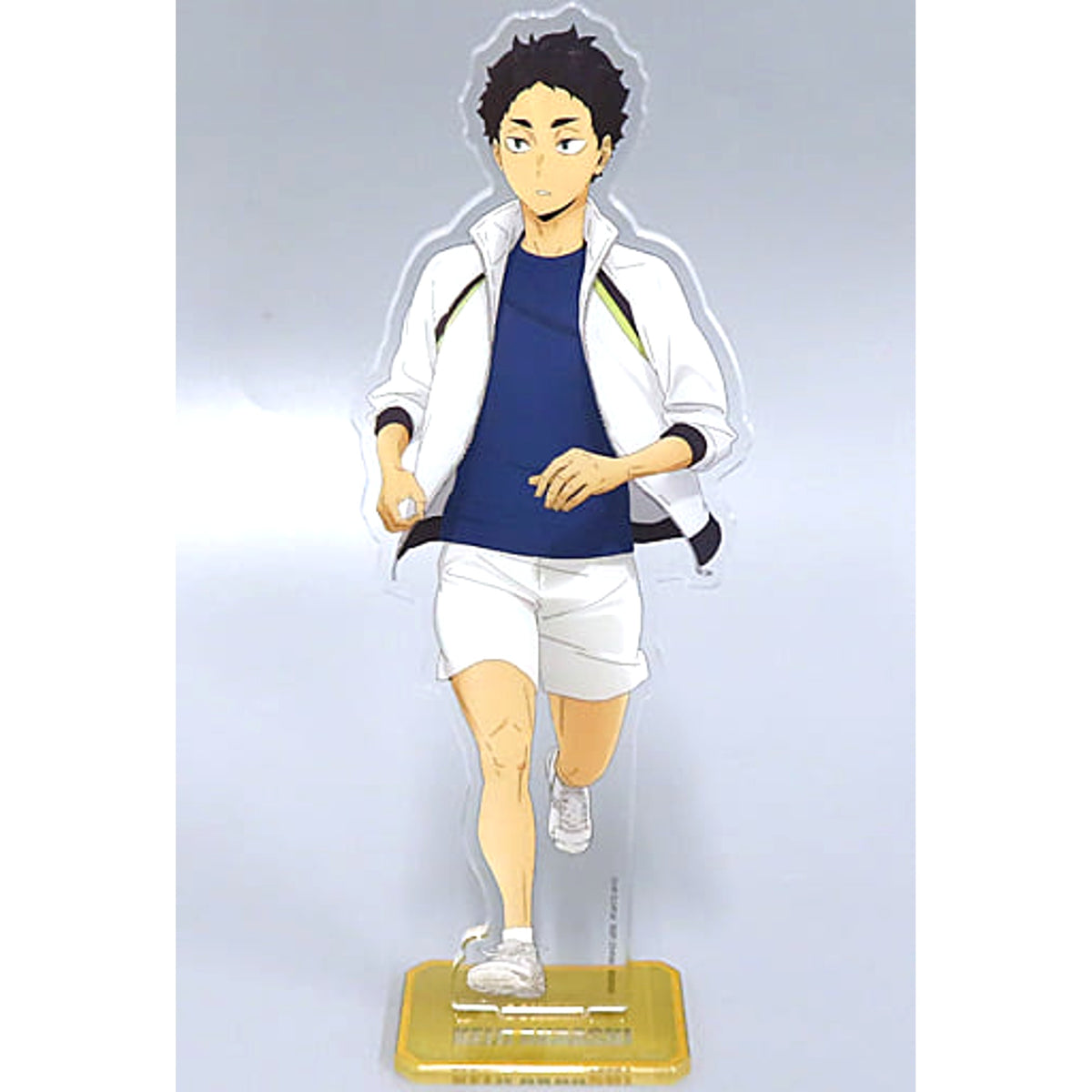 Haikyu!! Keiji Akaashi Ichiban Kuji View from the Summit Acrylic Stand Prize L Acrylic Stands [USED]