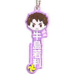 Haikyu!! Wakatoshi Ushijima Ichiban Kuji View from the Summit Acrylic Charms Prize N Charm [USED]