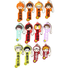 Haikyu!! Shoyo Hinata & Others All 12 Types Set Ichiban Kuji View from the Summit Acrylic Charms Prize N Charm [USED]