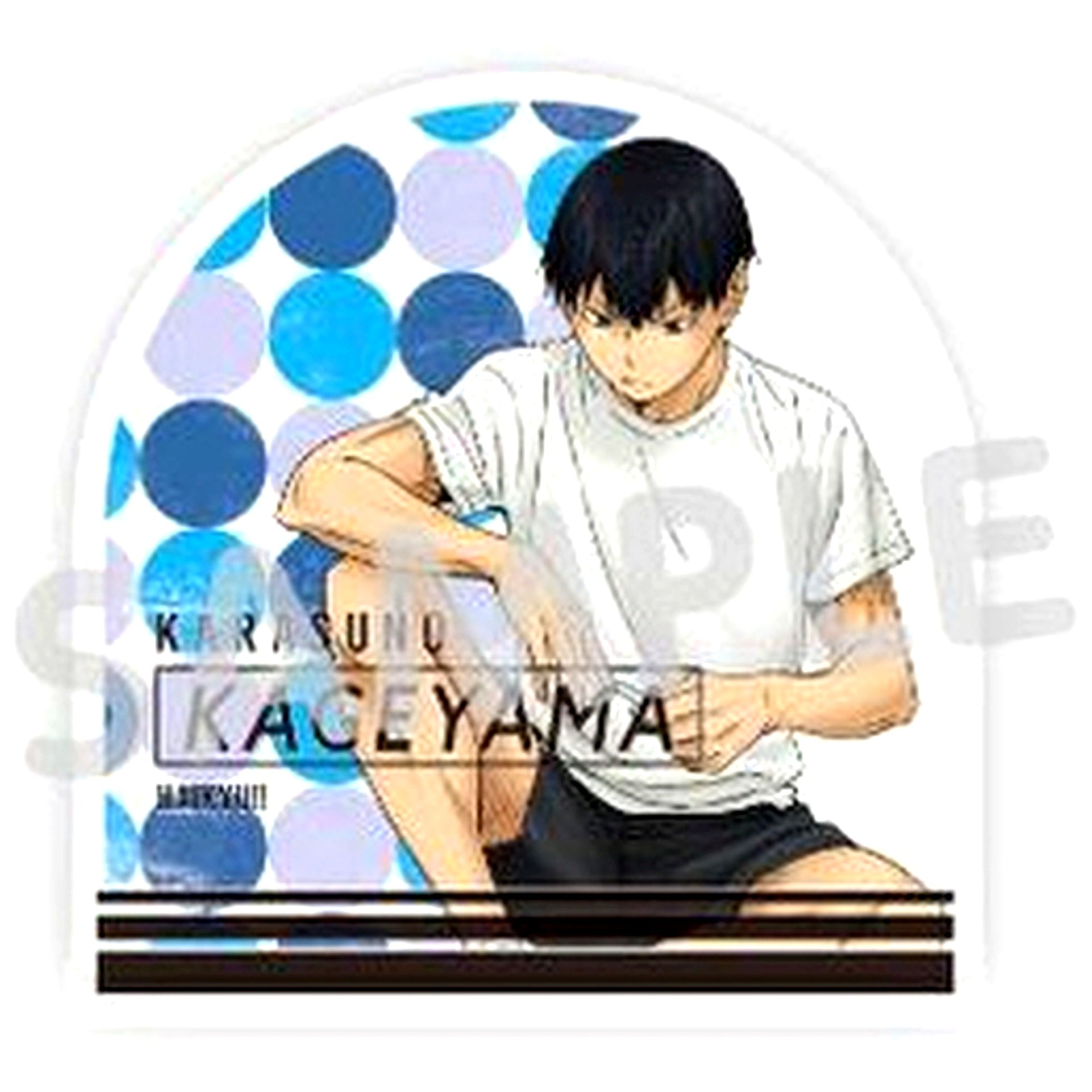 Tobio Kageyama Haikyu!! Preparation Acrylic Block [USED]