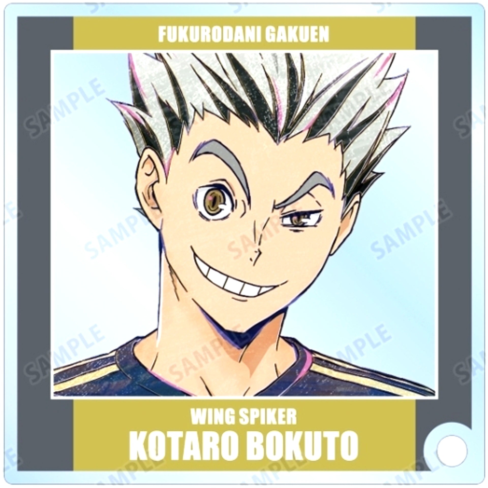 Kotaro Bokuto Haikyu!! Trading Ani-Art Vol. 6 Acrylic Stand Panel [USED]