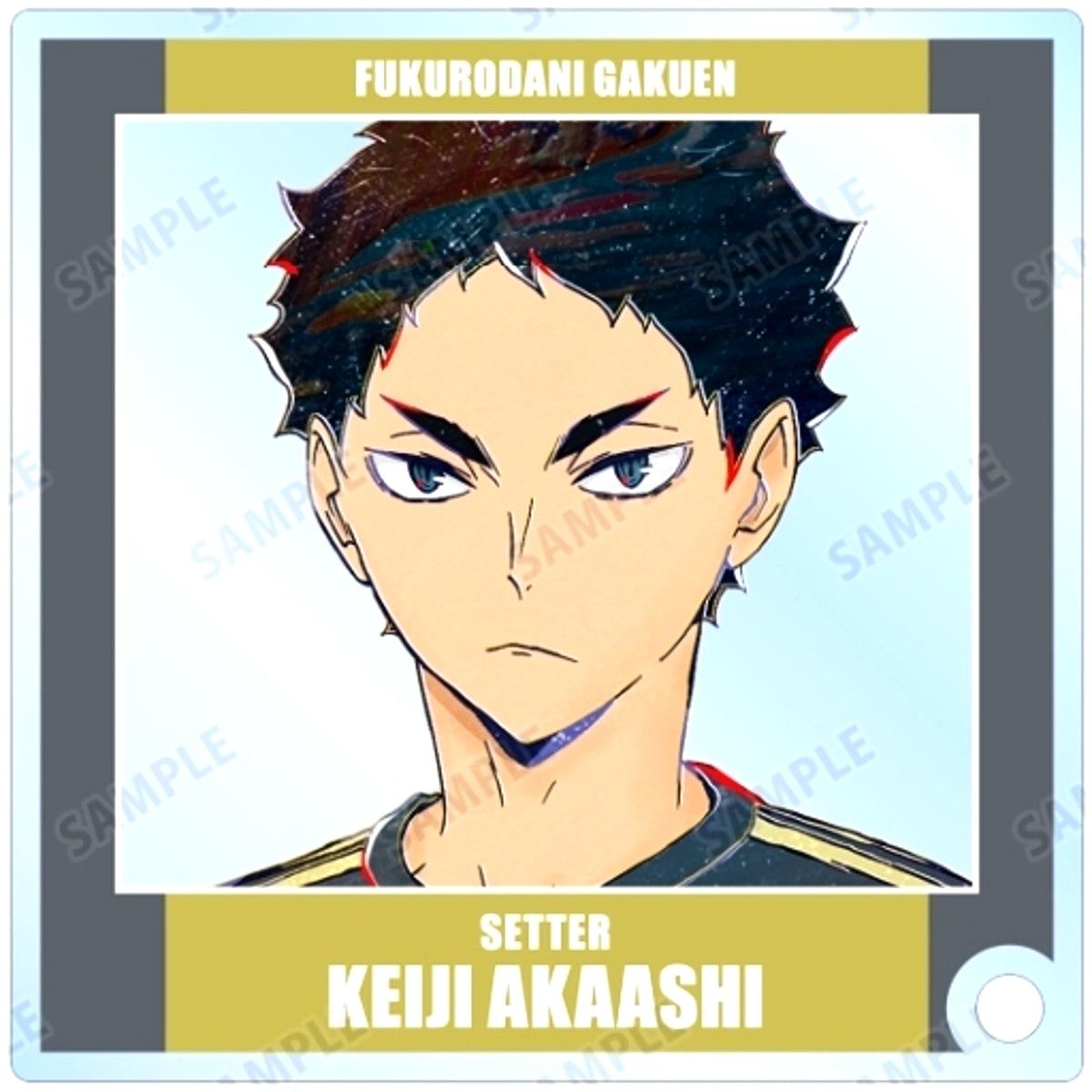 Keiji Akaashi Haikyu!! Trading Ani-Art Vol. 6 Acrylic Stand Panel [USED]