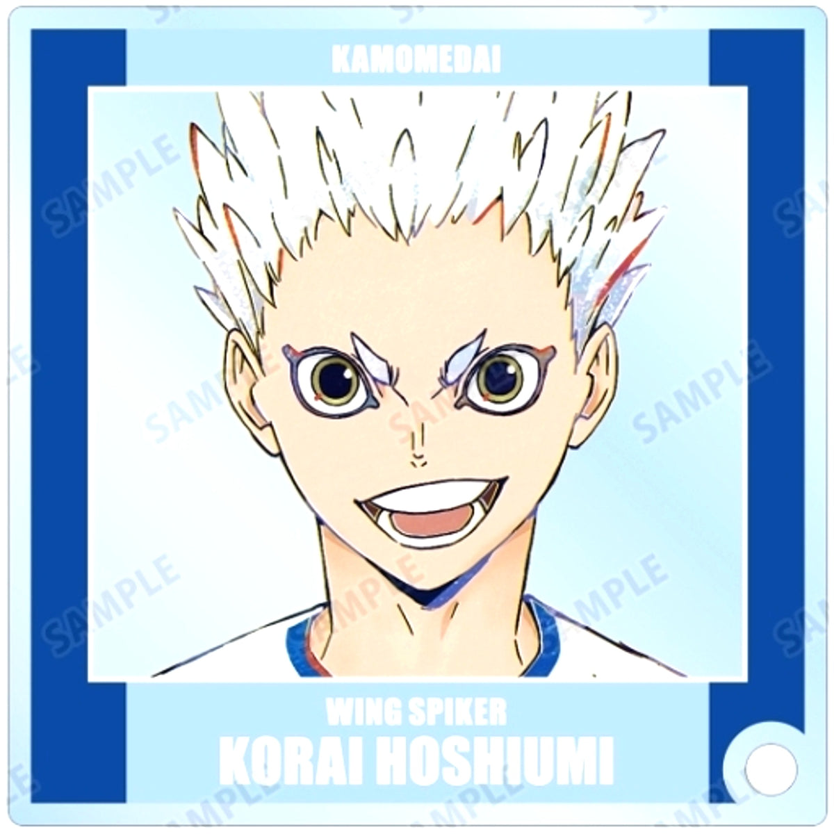 Korai Hoshiumi Haikyu!! Trading Ani-Art Vol. 6 Acrylic Stand Panel [USED]