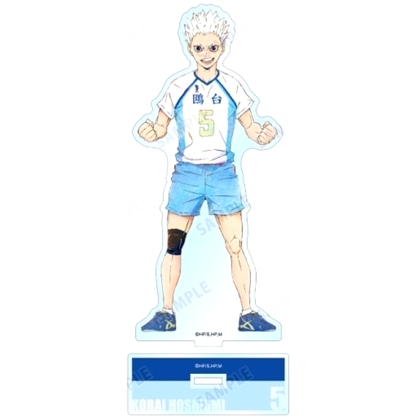 Korai Hoshiumi Ani-Art 6th BIG Acrylic Stand Haikyu!! [USED]