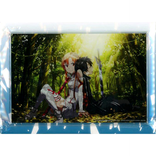 Kirito & Asuna Acrylic Board Sword Art Online [USED]