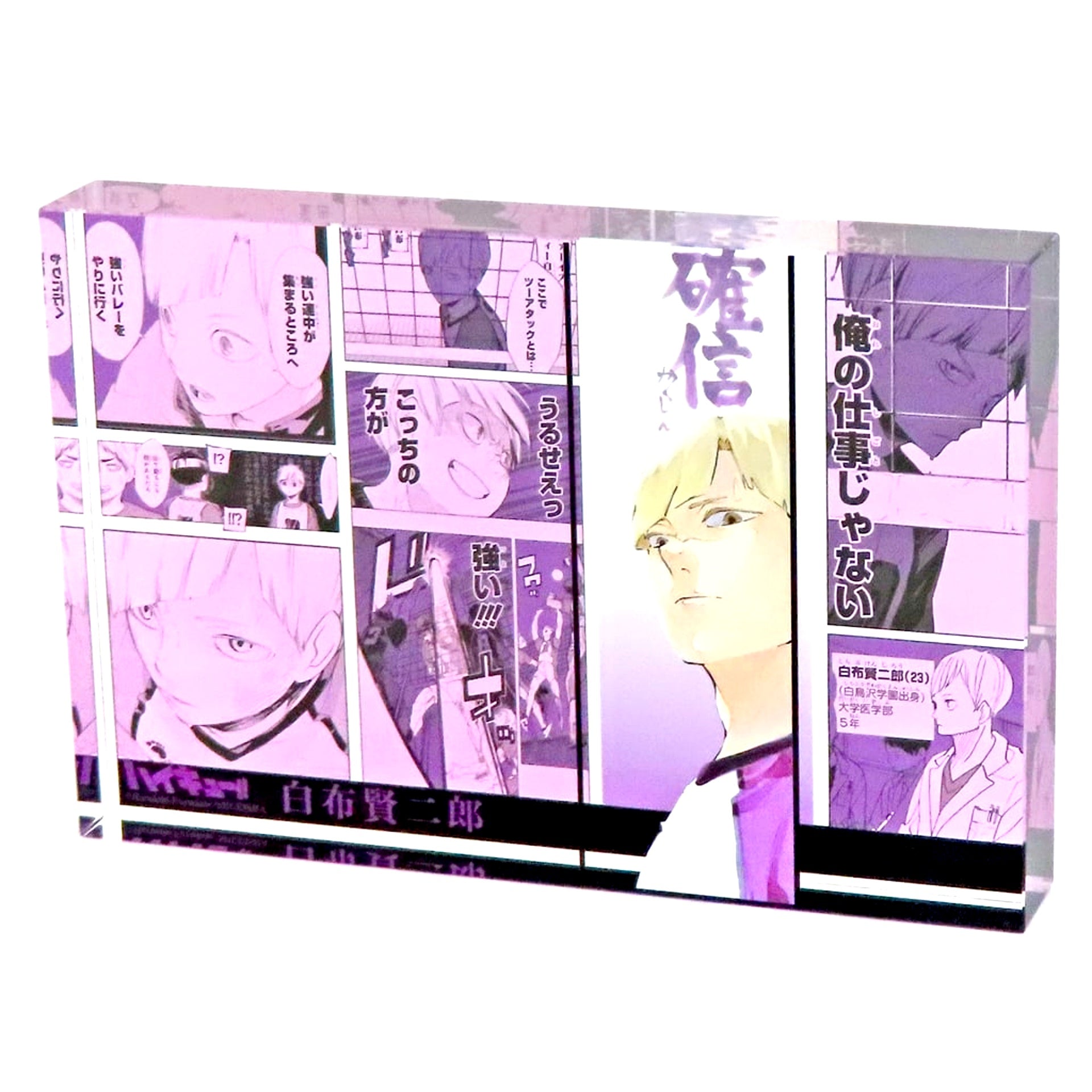 Kenjiro Shirabu Heroes 2023 Acrylic Block Haikyu!! [USED]