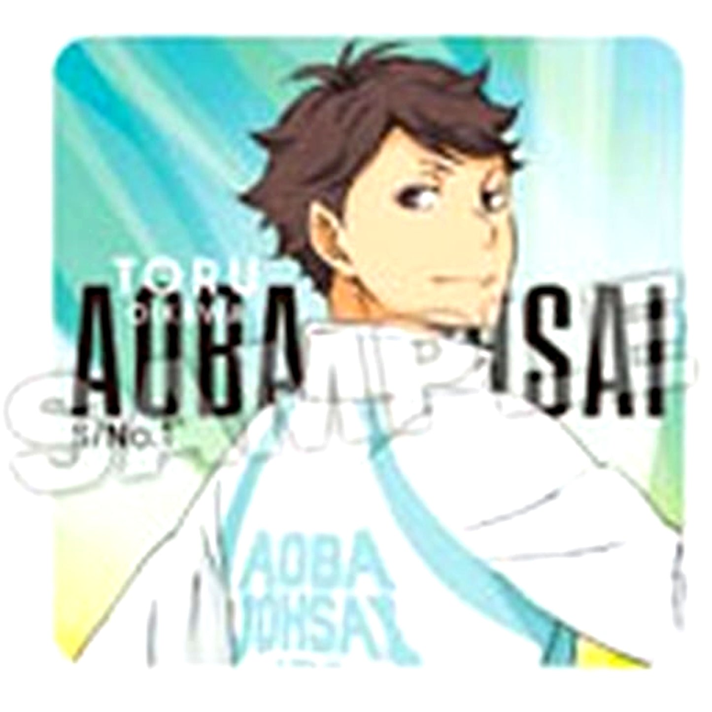 Toru Oikawa Haikyu Looking Back Trading Acrylic Block [USED]