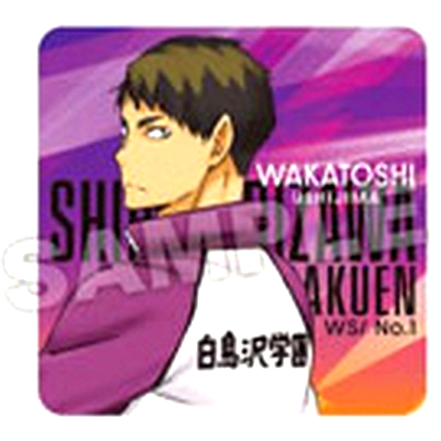 Wakatoshi Ushijima Haikyu!! Looking Back Trading Acrylic Block [USED]