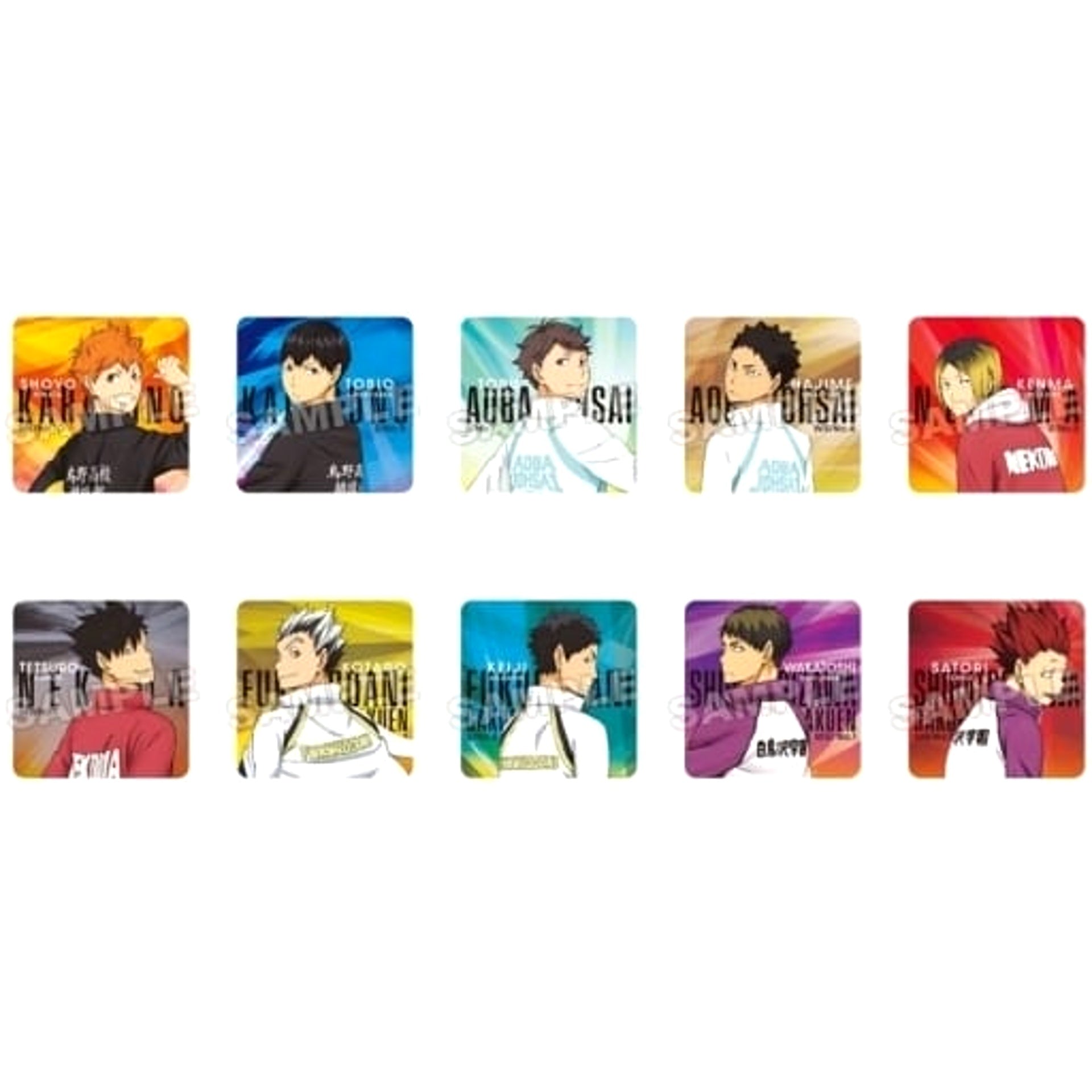 Haikyu!! Shoyo Hinata & Others All 10 Types Set Turn Around Trading Acrylic Blocks Acrylic Item [USED]
