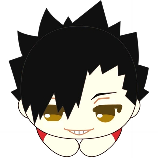 Tetsuro Kuroo Haikyu!! Hug Chara Collection 8 [USED]
