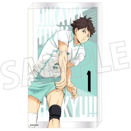 Toru Oikawa Noble Art Haikyu!! [USED]