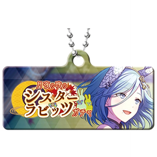 Hatsune Miku: Colorful Stage! Rabbit Sisters on a Moonlit Night Gacha Capsule Metal Banner Keychain Collection Vol.7 Keychains [USED]