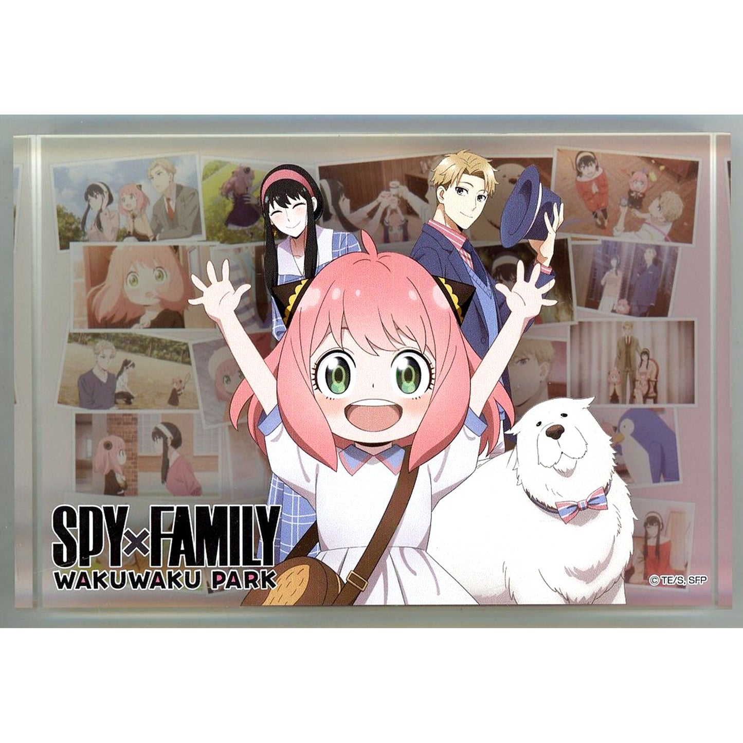 Group SPY x FAMILY Acrylic Block Wakuwaku Park [USED]