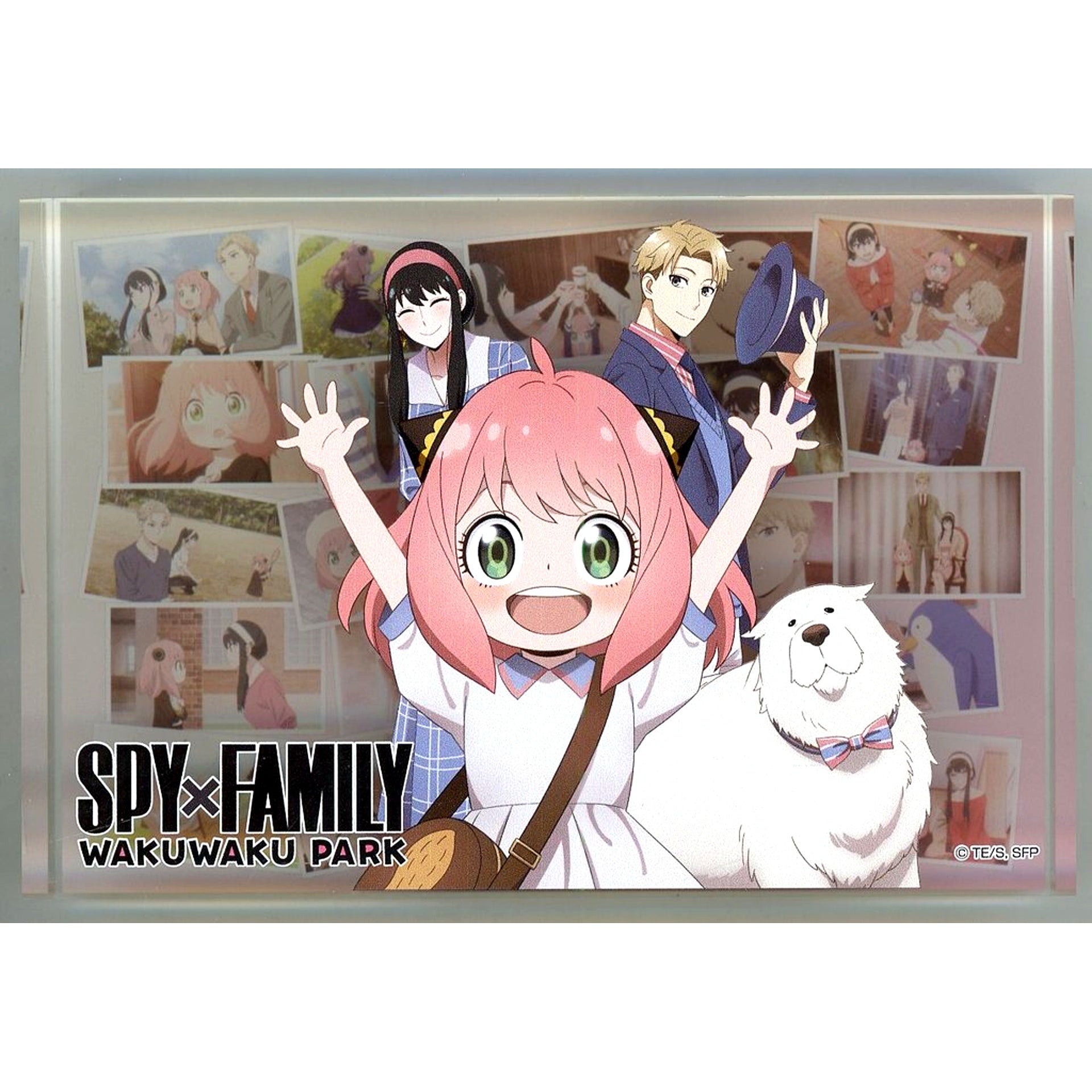 Group SPY x FAMILY Acrylic Block Wakuwaku Park [USED]
