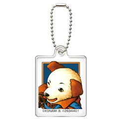 Suikoden II Gabocha Gashapon Acrylic Charms Vol.1 Star 1 Star 27 Gashapon Online Exclusive Charm [USED]