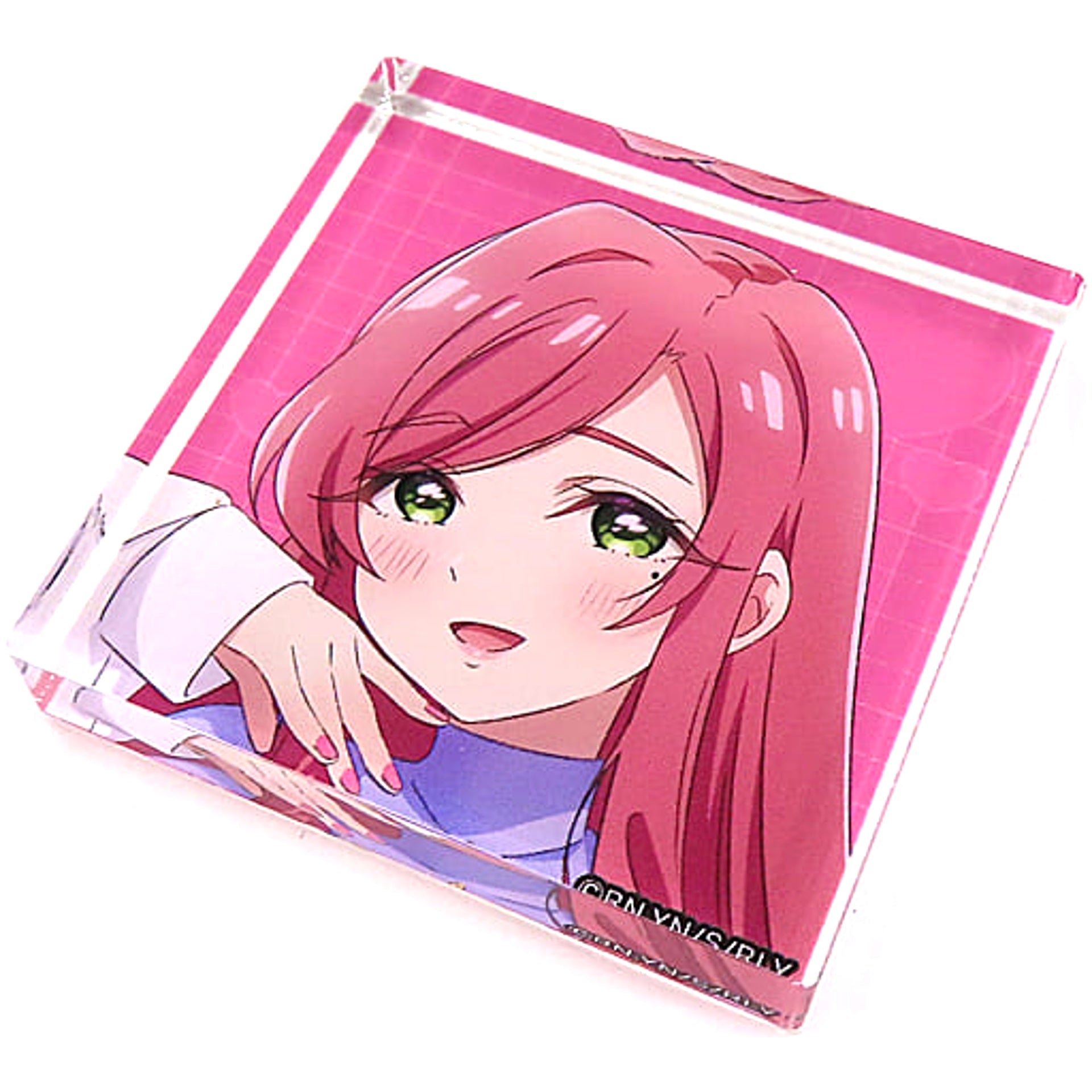 The 100 Girlfriends Who Really Really Really Really Really Love You Secret Acrylic Block Collection WEB Kuji Welcome to the Rentaro Family Prize E Acrylic Stands [USED]
