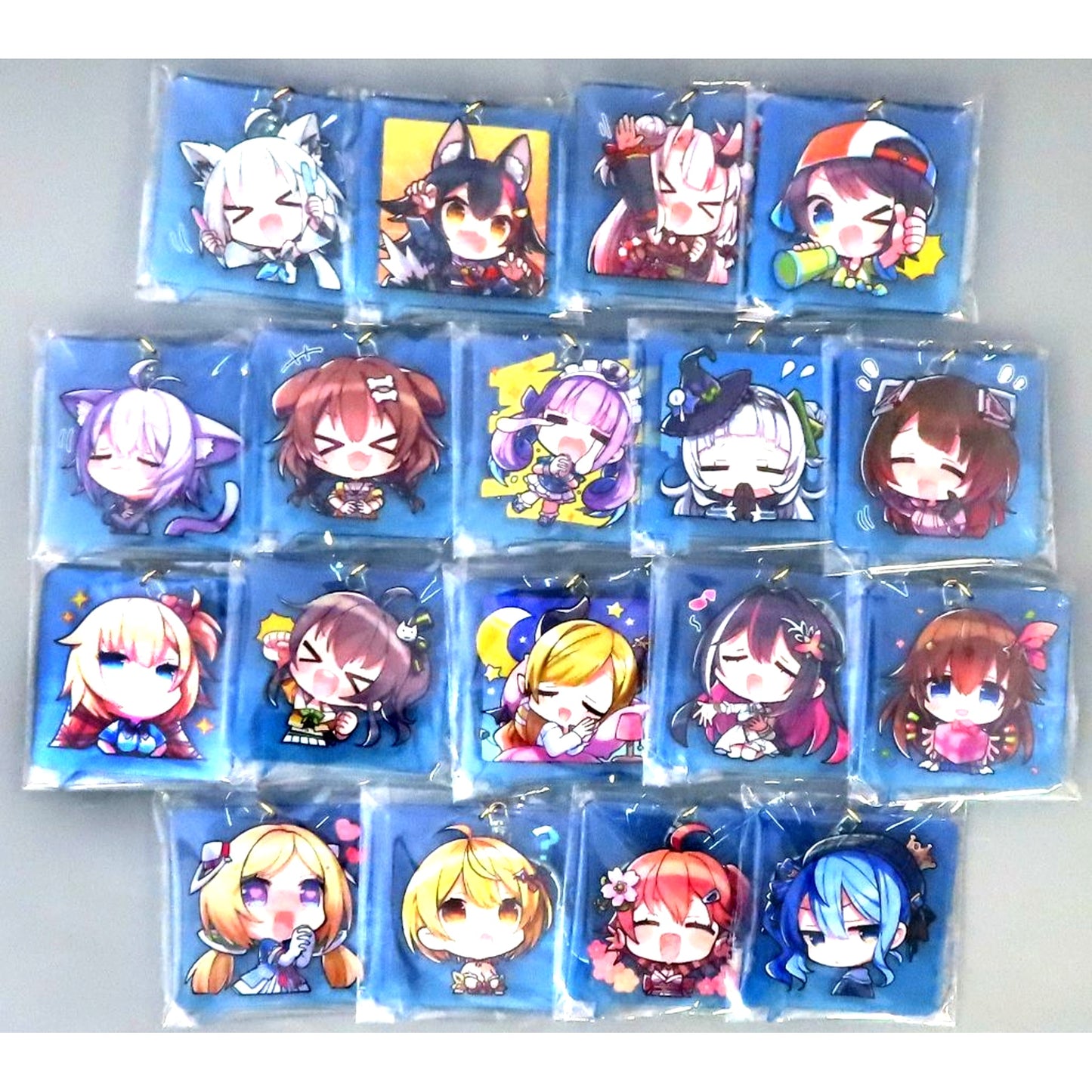 Set of 18 Hololive HOLOEARTH Random Acrylic Keychain Vol.1 C103 [USED]