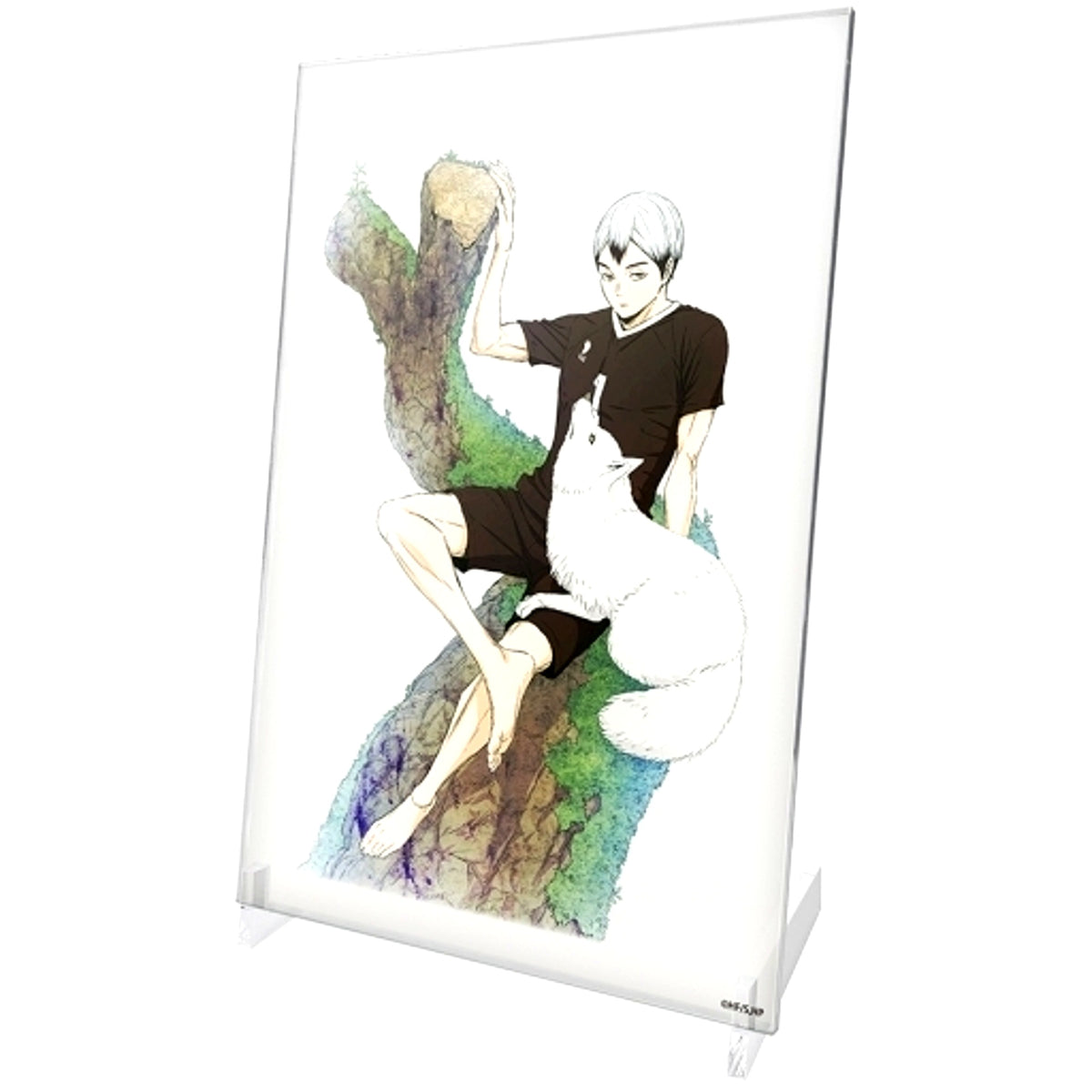 Shinsuke Kita Haikyu!! Acrylic Art Stand Ver. 1.0 [USED]