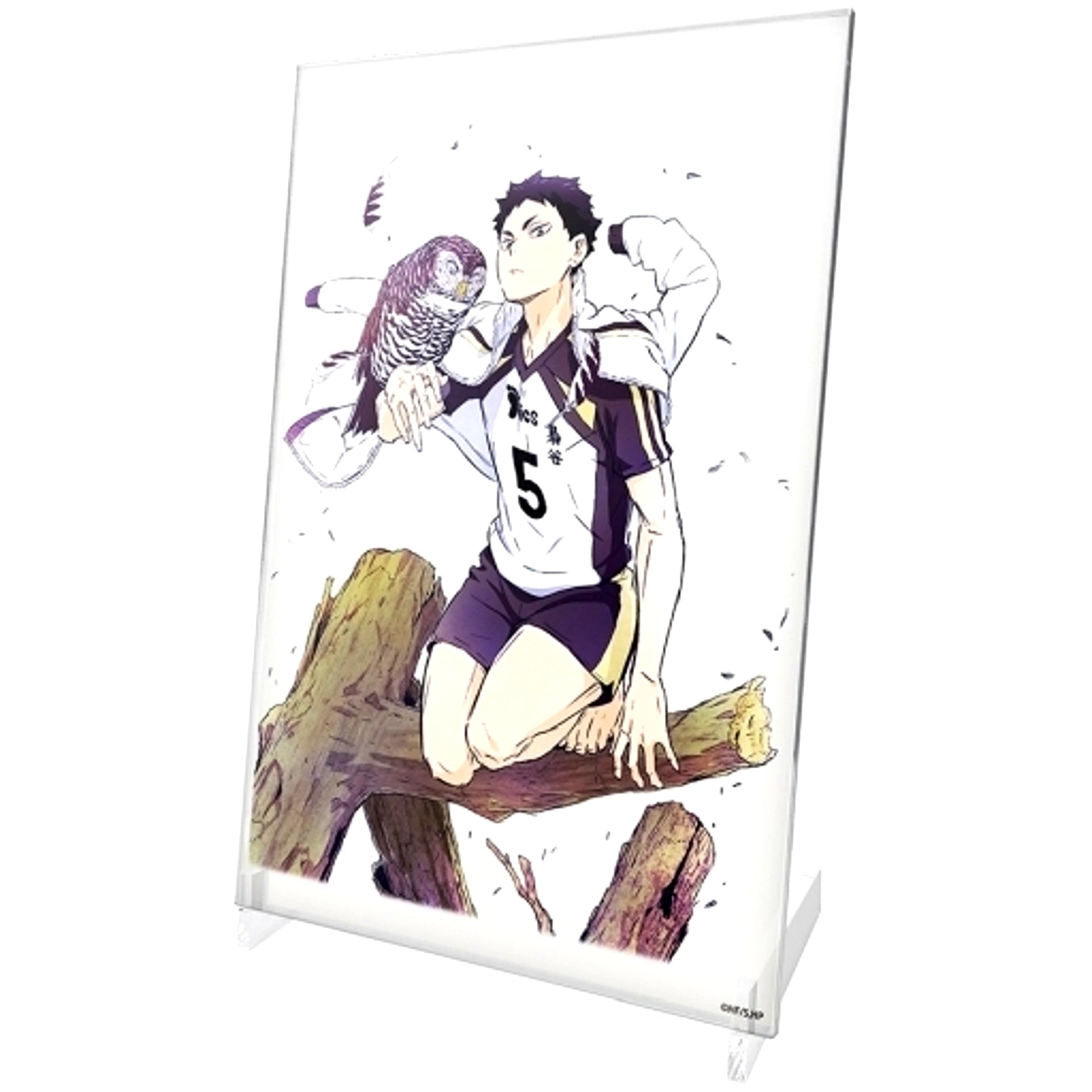 Keiji Akaashi Acrylic Art Stand Ver. 1.0 Haikyu!! [USED]