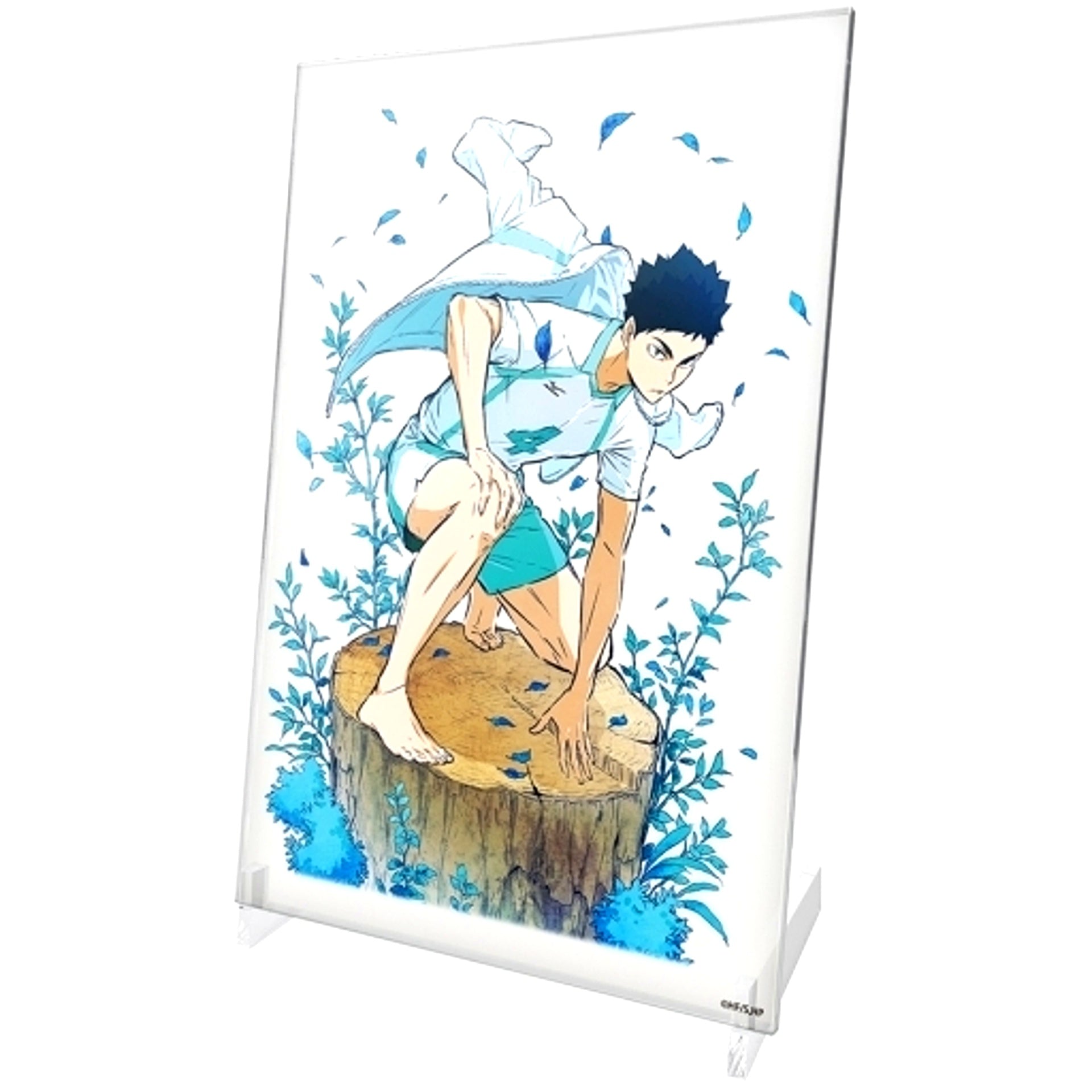 Hajime Iwaizumi Acrylic Art Stand Ver. 1.0 Haikyu!! [USED]