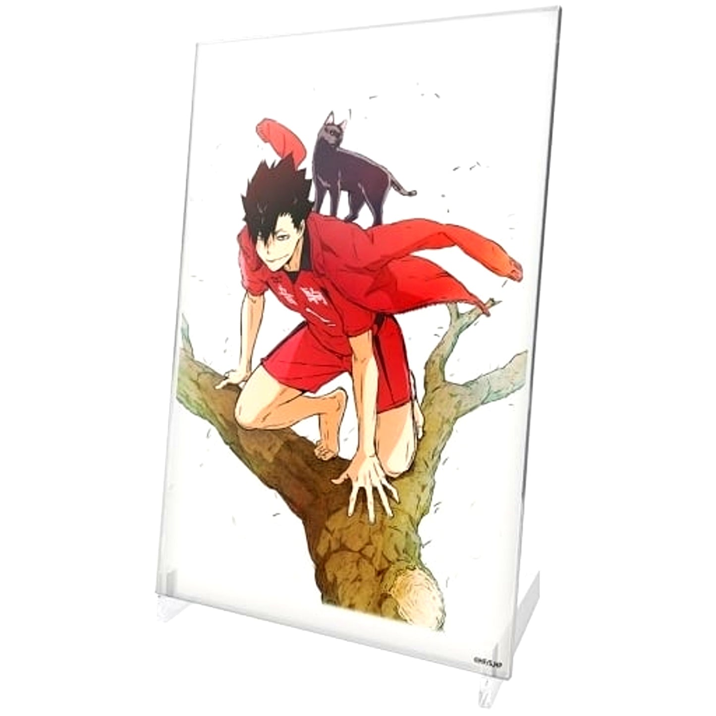 Tetsuro Kuroo Acrylic Art Stand Ver. 1.0 Haikyu!! [USED]