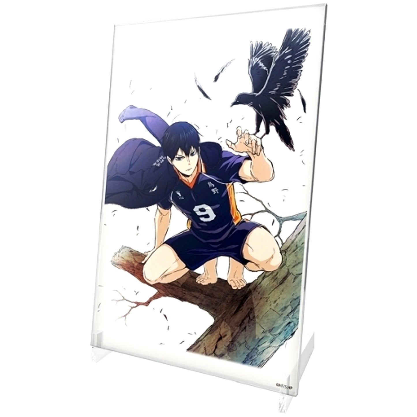 Tobio Kageyama Acrylic Art Stand Ver.1.0 Haikyu!! [USED]