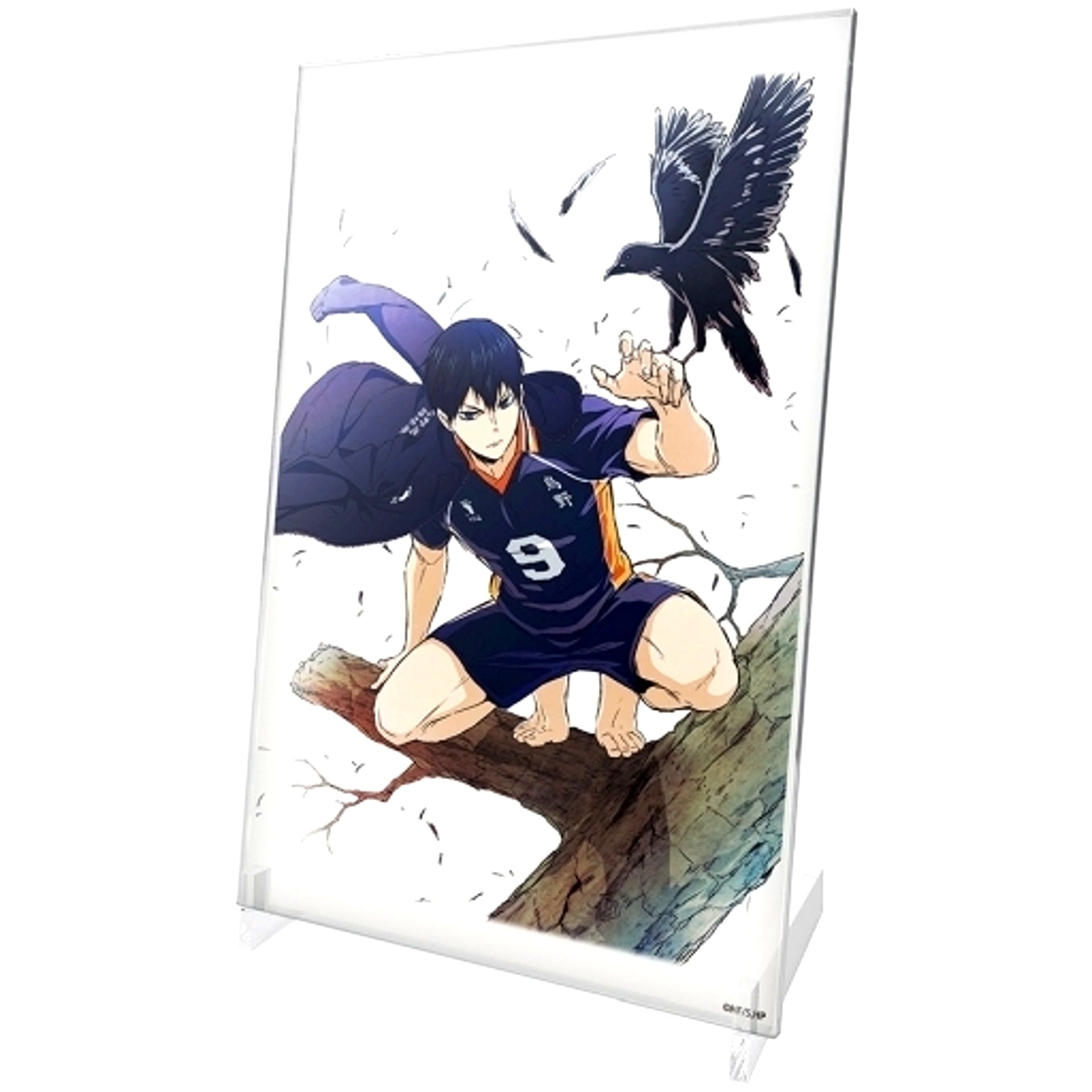 Tobio Kageyama Acrylic Art Stand Ver.1.0 Haikyu!! [USED]