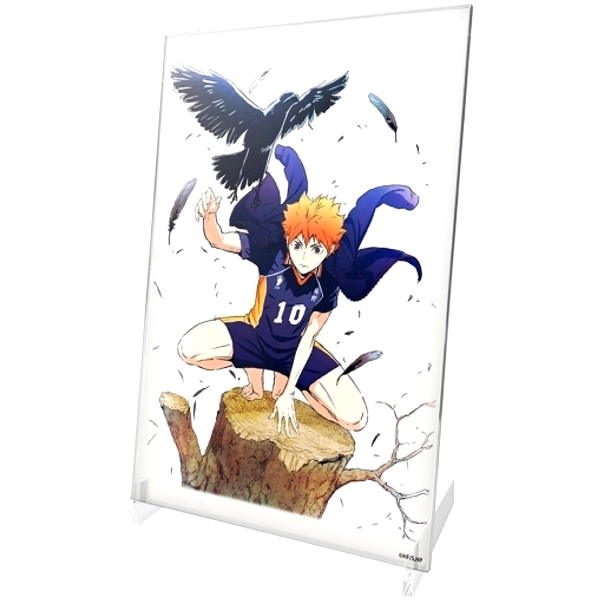 Shoyo Hinata Acrylic Art Stand Ver.1.0 Haikyu!! [USED]