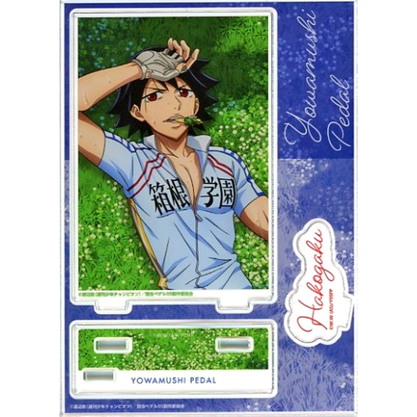 Yuto Shinkai Acrylic Stand Yowamushi Pedal Limit Break Bokutachi no Genkai Toppa! Exhibition [USED]