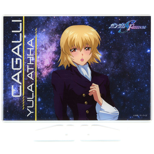 Cagalli Yula Athha Mobile Suit Gundam SEED FREEDOM THE EXPERIENCE Acrylic Board Kira Yamato Ikimasu! Hasshin Throttle Roulette! S Prize Strike Freedom [USED]