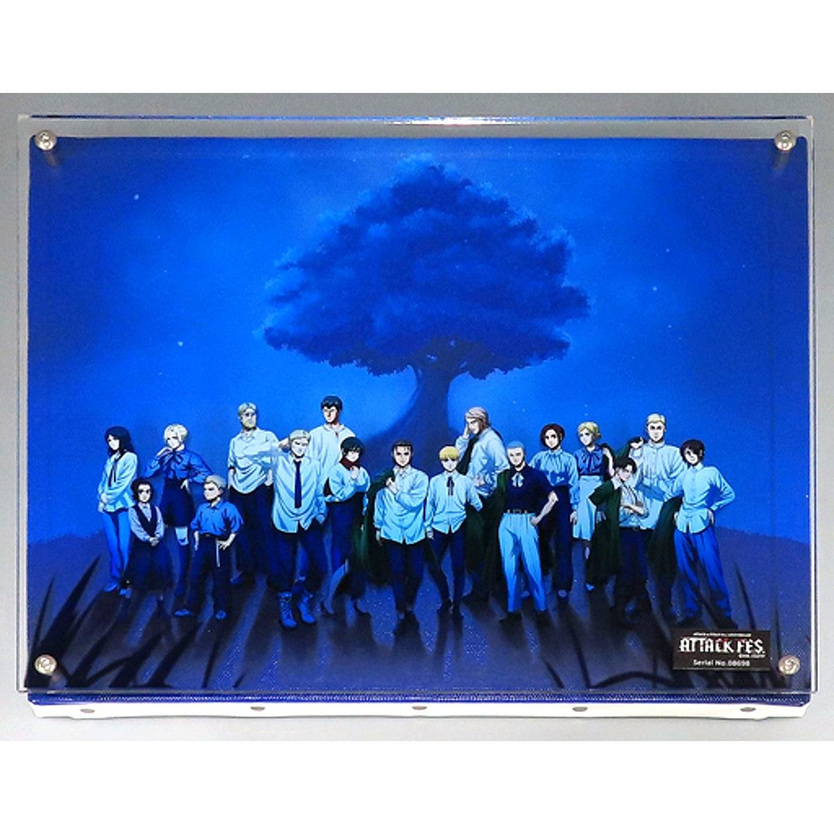 Main Visual DAY2 Attack on Titan 10th ANNIVERSARY ATTACK FES DAY2 Limited Premium Ticket Bonus Layered Graph [USED]