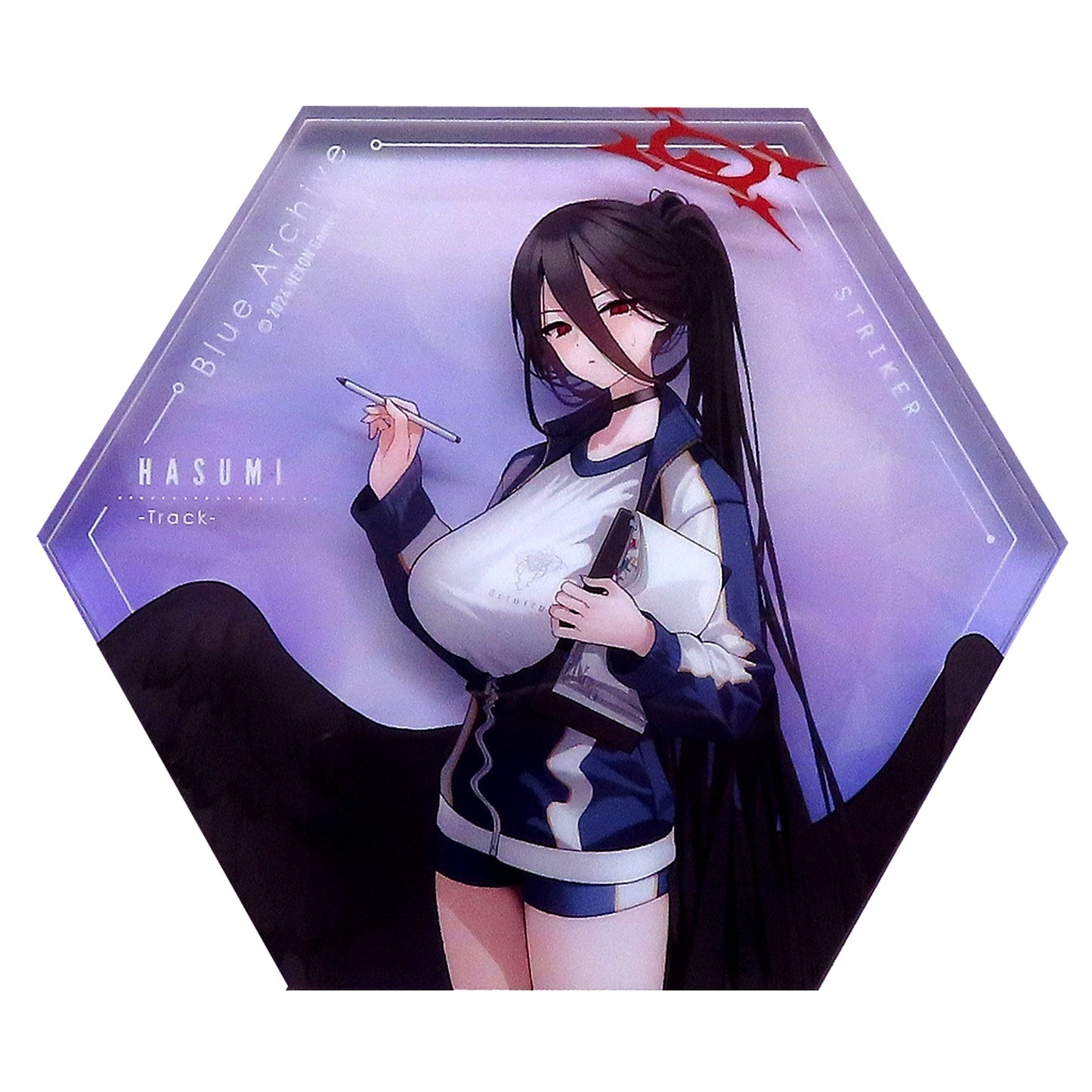 Hasumi Hanekawa Gym Uniform Noble Art Blue Archive [USED]