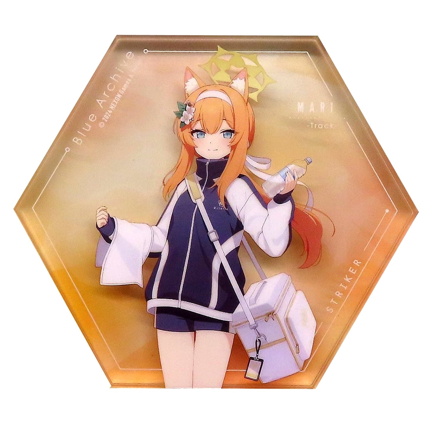 Marie Iochi Gym Uniform Noble Art Blue Archive [USED]