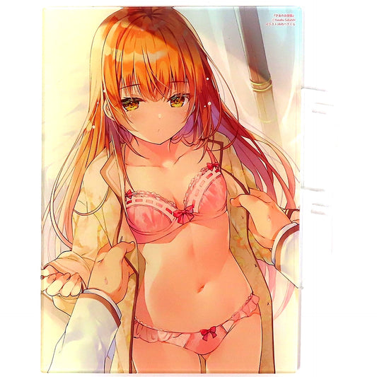 Hinako Konohana Saijo no Osewa Takane no Hana Darake na Meimonkou de Gakuin Ichi no Ojosama Seikatsu Noryoku Kaimu wo Kagenagara Osewa suru Koto ni Narimashita B6 Acrylic Panel Hobby Japan x Melonbooks Novel Goods Series [USED]