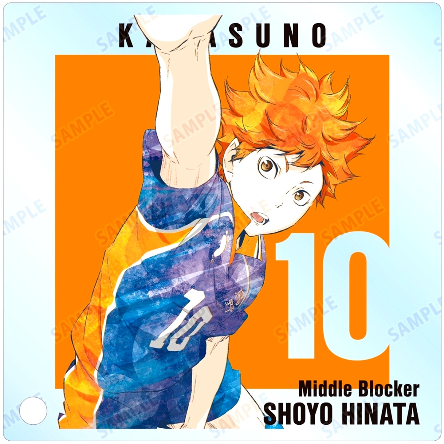 Shoyo Hinata Haikyu!! Trading Ani-Art Part 3 Acrylic Stand Panel [USED]