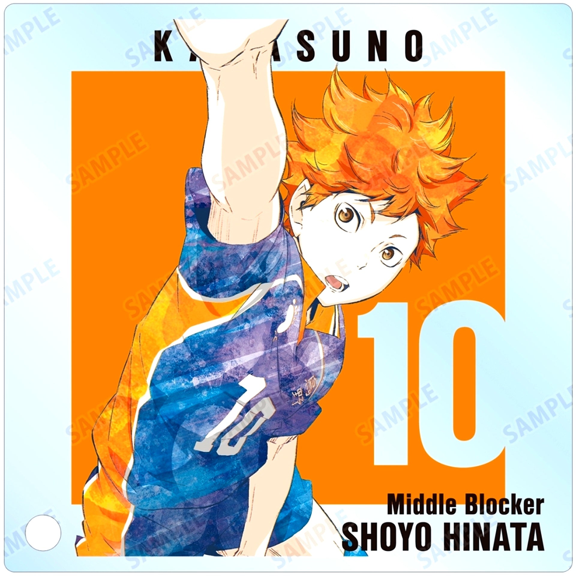 Shoyo Hinata Haikyu!! Trading Ani-Art Part 3 Acrylic Stand Panel [USED]