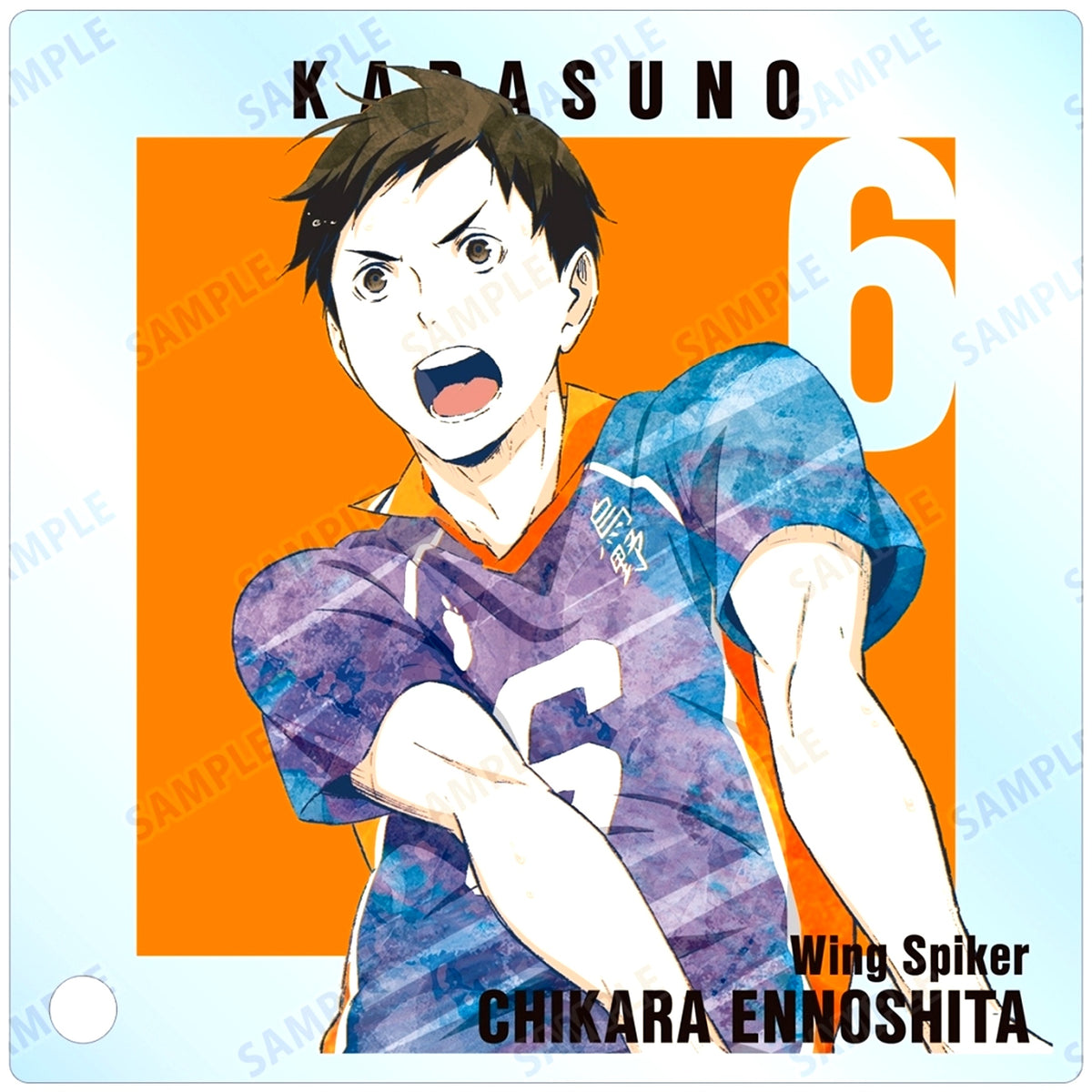 Chikara Ennoshita Haikyu!! Trading Ani-Art Series 3 Acrylic Stand Panel [USED]