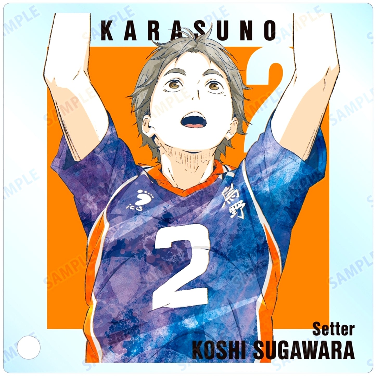 Koshi Sugawara Haikyu!! Trading Ani-Art 3rd Acrylic Stand Panel [USED]