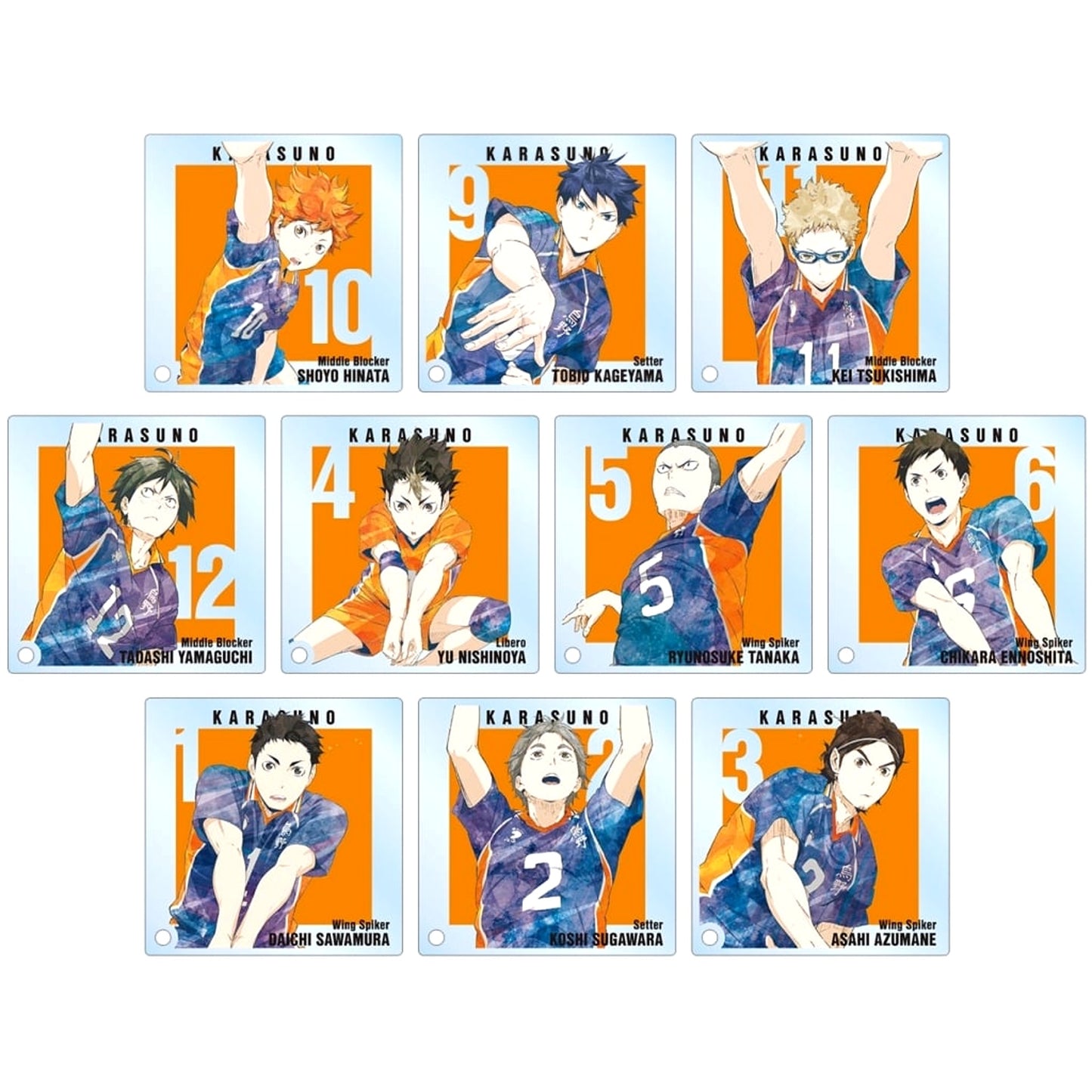 Haikyu!! Shoyo Hinata & Others All 10 Types Set Trading Ani-Art Part 3 Acrylic Stand Panel Acrylic Stands [USED]