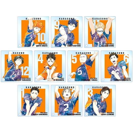 Haikyu!! Shoyo Hinata & Others All 10 Types Set Trading Ani-Art Part 3 Acrylic Stand Panel Acrylic Stands [USED]