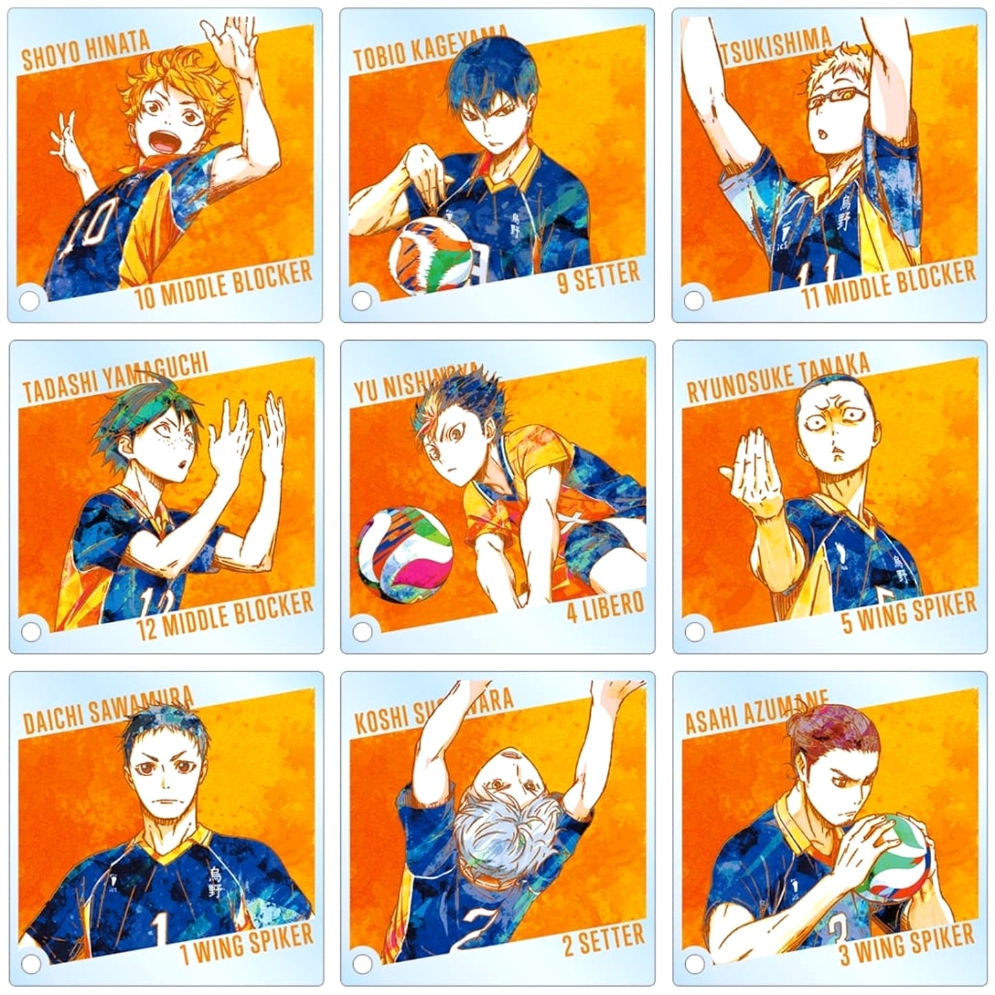 Haikyu!! Shoyo Hinata & Others All 9 Types Set Trading Ani-Art Part 2 Acrylic Stand Panel Acrylic Stands [USED]