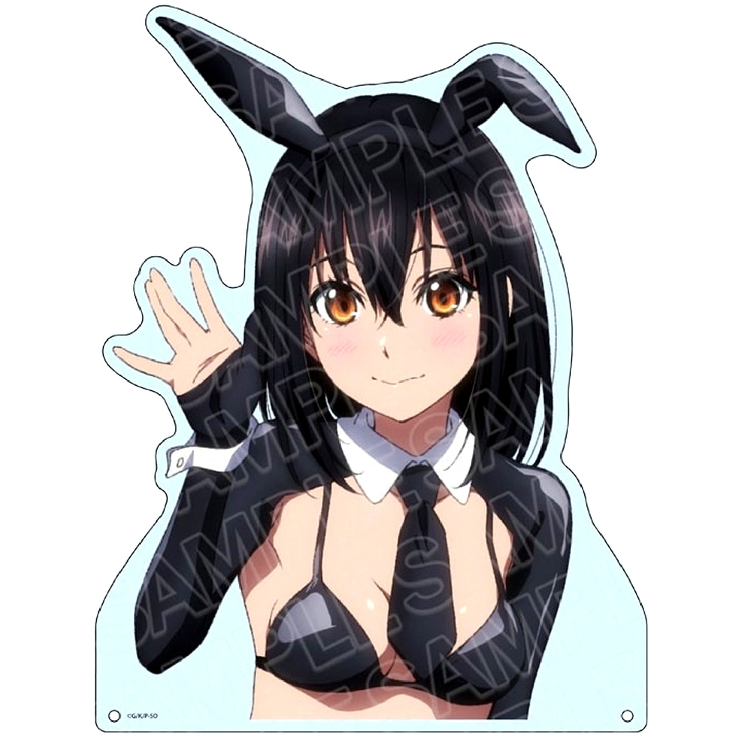 Yukina Himeragi Reverse Bunny Ver. Extra Large Die-cut Acrylic Board Strike the Blood FINAL [USED]