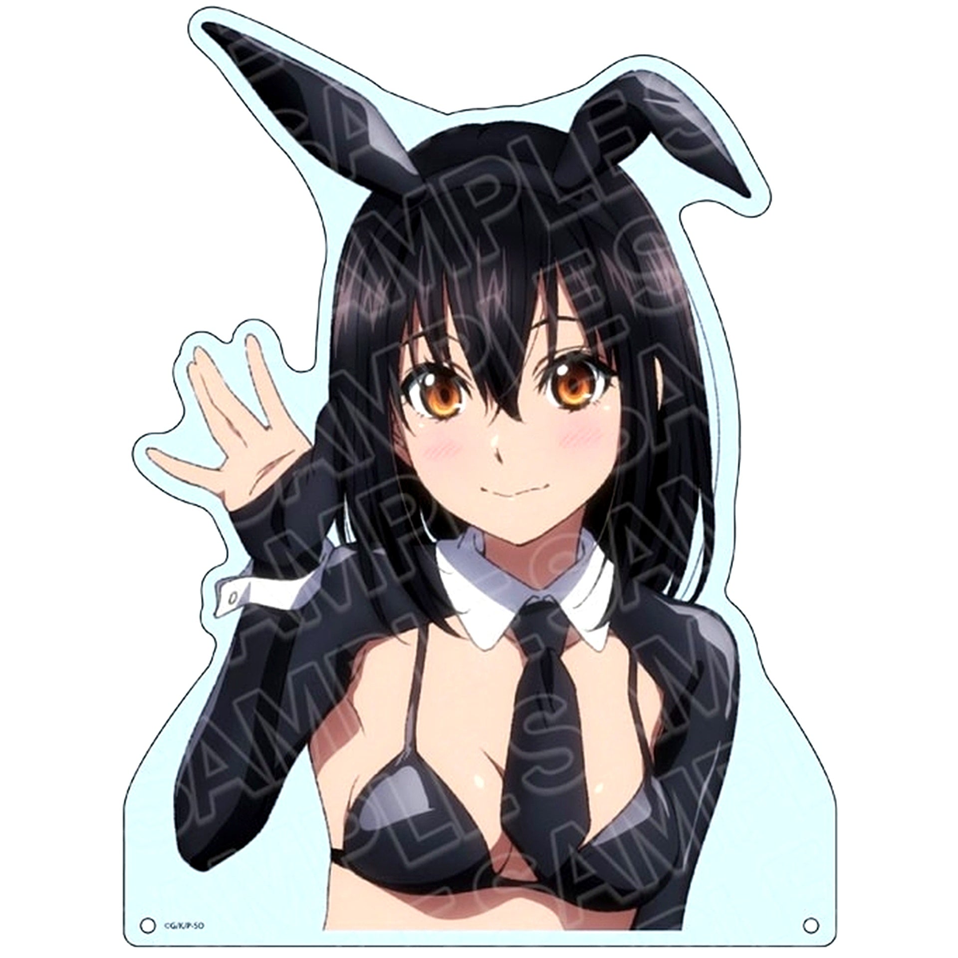 Yukina Himeragi Reverse Bunny Ver. Extra Large Die-cut Acrylic Board Strike the Blood FINAL [USED]