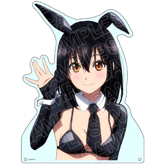 Yukina Himeragi Reverse Bunny Ver. Extra Large Die-cut Acrylic Board Strike the Blood FINAL [USED]