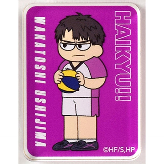 Wakatoshi Ushijima Haikyu!! Jirori Trading Acrylic Block Sendai Ver. [USED]