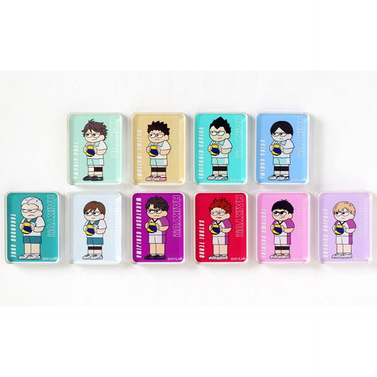Set of 10 Haikyu!! Jirori Trading Acrylic Block - Sendai Ver. [USED]