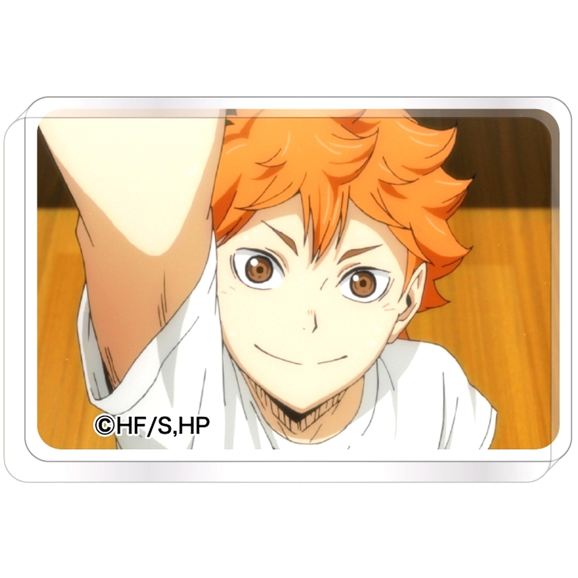 Shoyo Hinata Haikyu!! Mini Acrylic Block Collection Vol. 2 [USED]