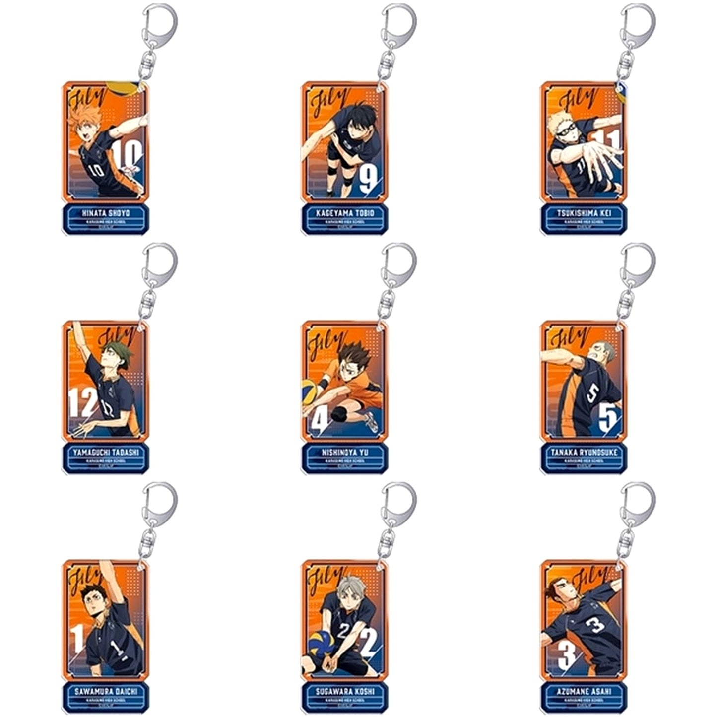 Shoyo Hinata & Others Haikyu!! All 9 Types Set Acrylic Keychain Collection Karasuno High School [USED]
