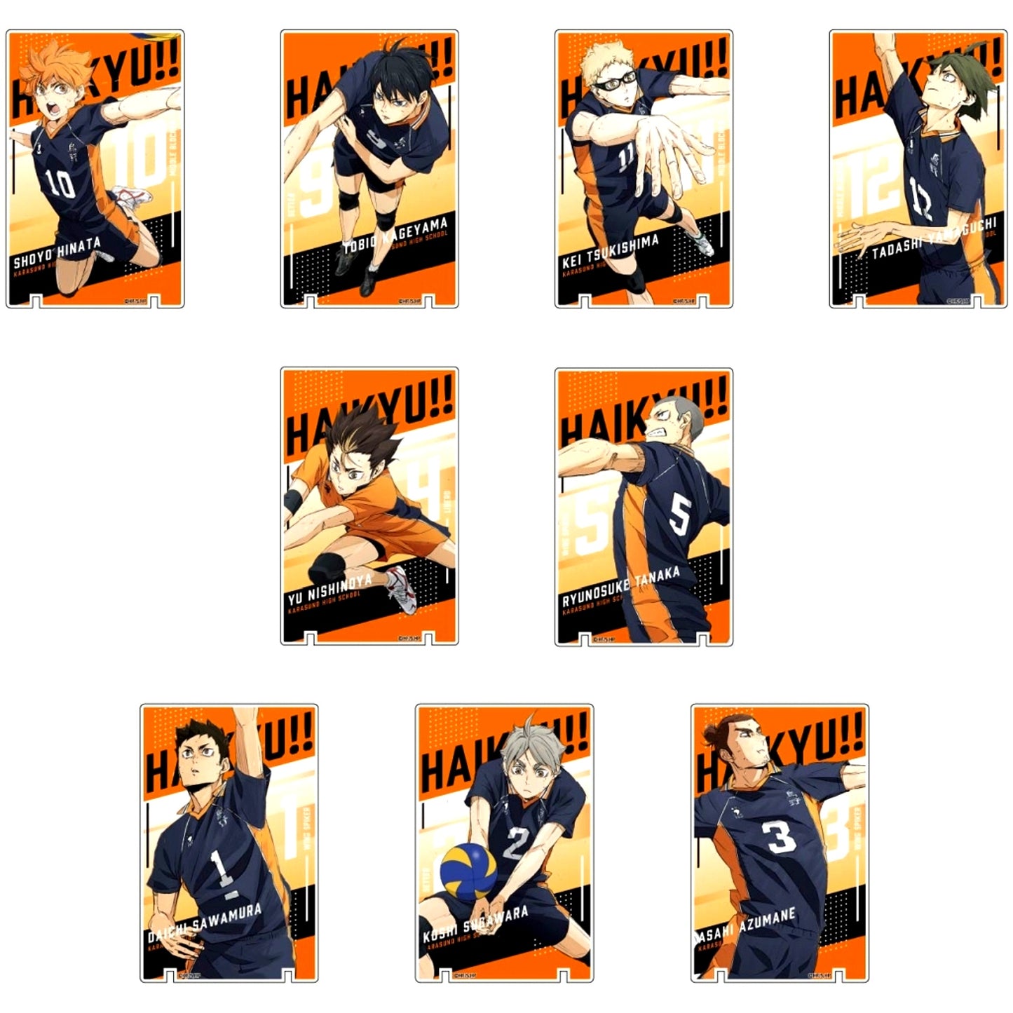 All 9 Types Set Art Panel Collection Haikyu!! The Dumpster Battle Vol.2 Karasuno High School BOX [USED]