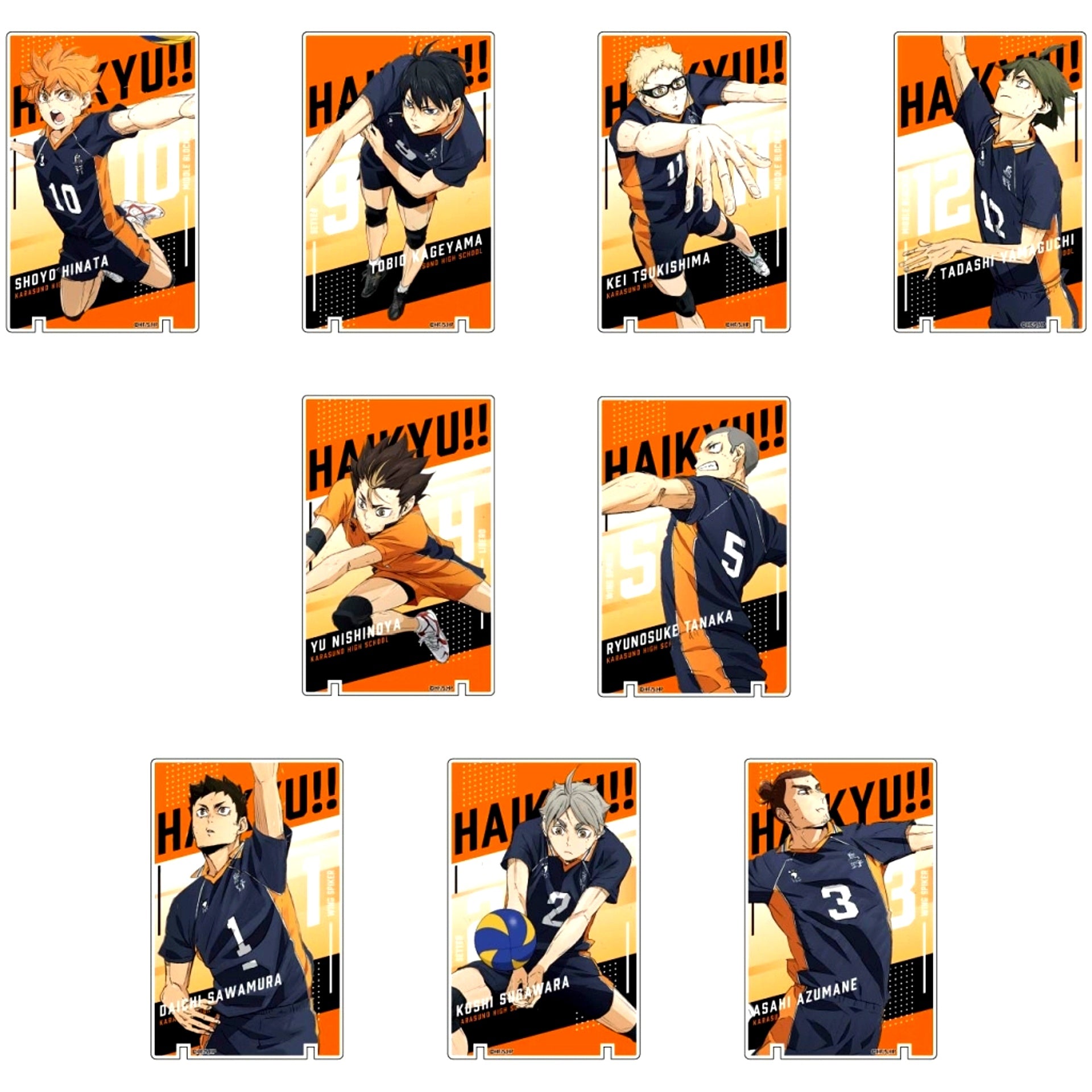 All 9 Types Set Art Panel Collection Haikyu!! The Dumpster Battle Vol.2 Karasuno High School BOX [USED]